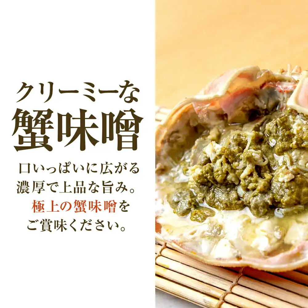 【先行予約/11月7日より順次発送】【希望月指定可】 越前がに 600ｇ×1ハイ  / 蟹 ズワイガニ ずわいがに ボイル 冷蔵 小浜市 / まるほ商店 【配送不可地域：北海道・沖縄・離島】[BFCS018]