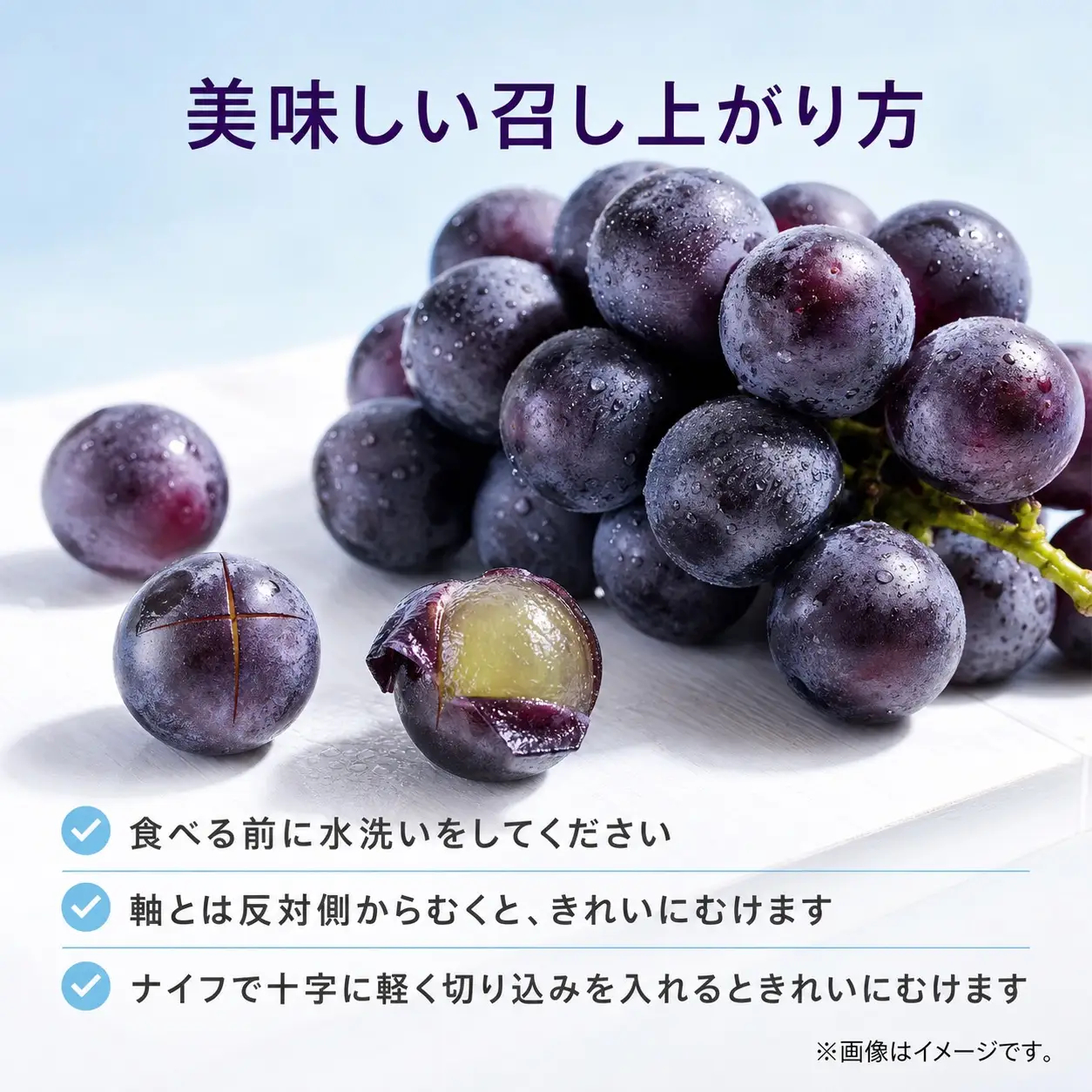 紀州和歌山産の種なし巨峰ぶどう２房（約800g～1kg）※2027年8月中旬頃〜9月上旬頃に順次発送予定 / ぶどう ブドウ 葡萄 種無し フルーツ 果物 くだもの【uot814A】