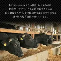 佐賀牛ヒレステーキ360g (180g×2枚)