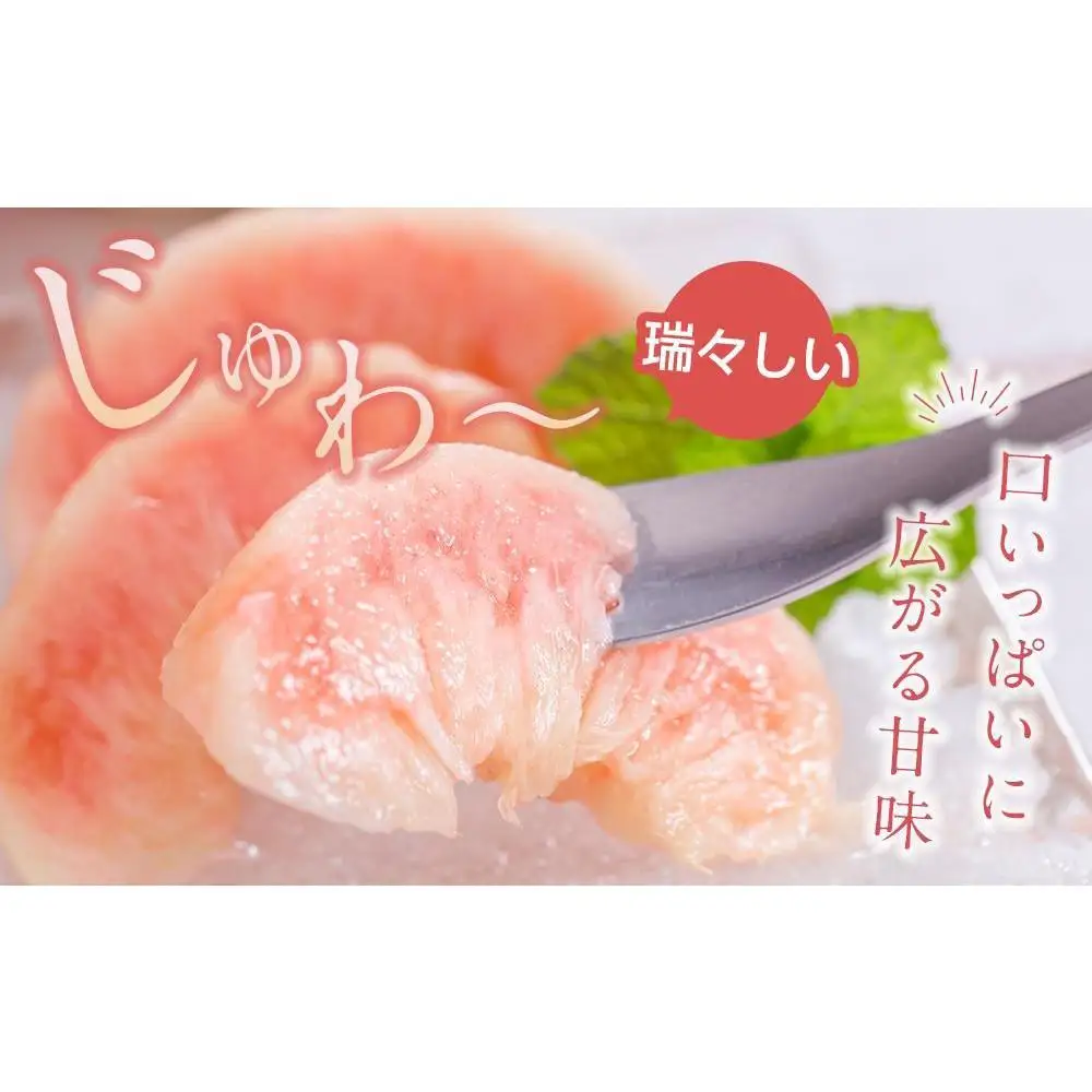 先行販売！［モモ］ 白鳳　桃の王様！食べきりやすい３個入り［2027年6月下旬頃より順次発送］［秀品］こだわり農家厳選 ［KG17］
