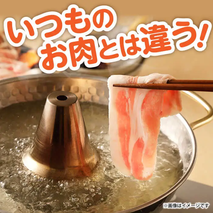 【6回定期便】ながさき健王豚しゃぶしゃぶ用(ロース:400g×2パック・バラ:350g×2パック)　/　豚　豚肉　しゃぶしゃぶ　ロース　バラ　うす切り　/　諫早市　/　長崎県央農業協同組合Aコープ本部 [AHAA016]