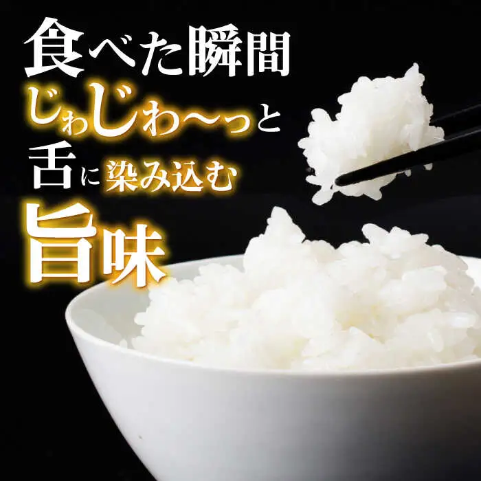 【R8年新米】循環農法米 にこまる 白米 10kg / 米 こめ コメ おこめ お米 白米 にこまる / 諫早市 / 株式会社土井農場 [AHAD062] 新米 しんまい