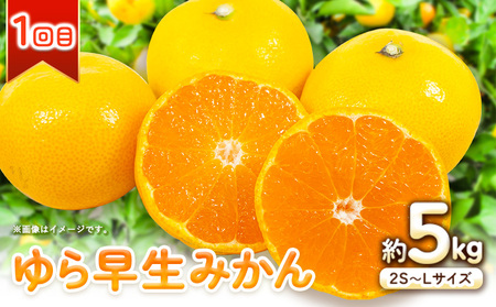 どの坂果樹園のみかん食べ比べ定期便 2回