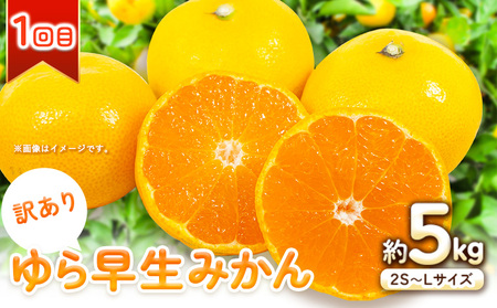 どの坂果樹園の訳ありみかん 食べ比べ定期便 2回