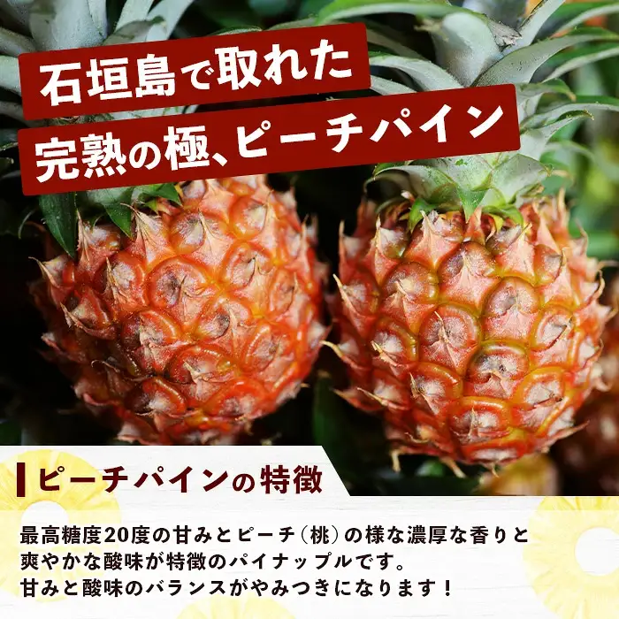 パイナップル好きにおすすめ！満足のパイナップル4品種定期便《2027年4月～7月順次発送》