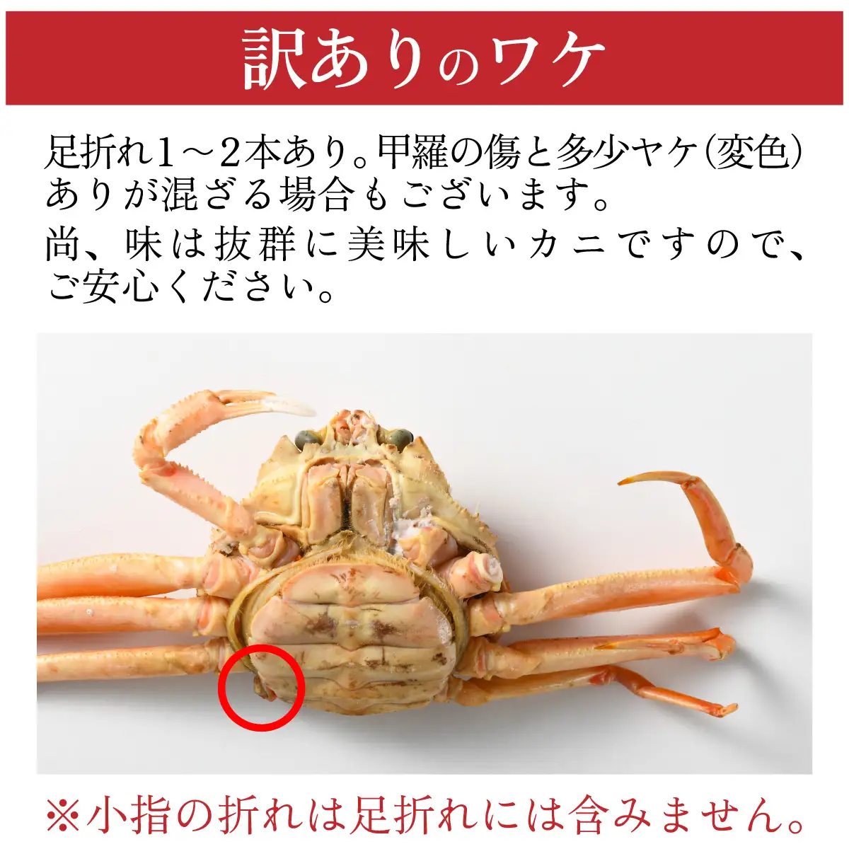 【先行予約】【訳あり】無選別　茹でせいこ蟹　350g（2～3杯）【10月下旬より順次発送】 [A-065012]　/ せいこがに せいこがに