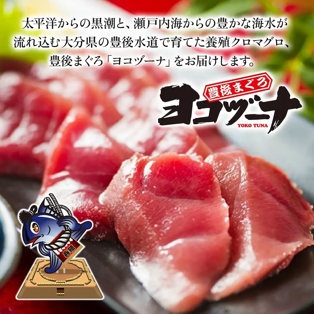 本まぐろ ヨコヅーナ 頭肉 1尾分 | 本まぐろ 津久見市