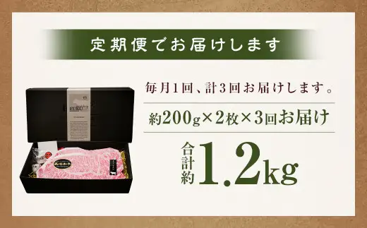 【全3回定期便】【A4～A5ランク！キングオブステーキ！】 長崎和牛 サーロインステーキ 計約1.2kg ( 約400g×3回 ) 和牛 国産 お肉 牛肉 ステーキ