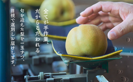 小島梨 3kg ~9玉 朝倉 産地直送 梨