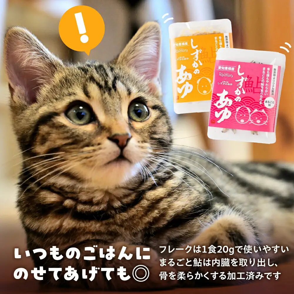 豊橋鮎おやつ ペット用 12パック 鮎 鮎