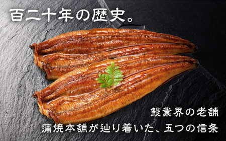 国産若うなぎ 3尾 蒲焼 うなぎ