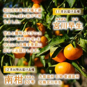 【2026年11月下旬頃から順次発送】訳あり 温州みかん 5kg 数量選択可 （ みかん ミカン 蜜柑 南柑20号 みかん 数量限定 みかん 愛媛県産 みかん 松山市 みかん 中島 みかん 温州みかん みかん 蜜柑 温州みかん ミカン みかん 旬 温州みかん ）【NO020】