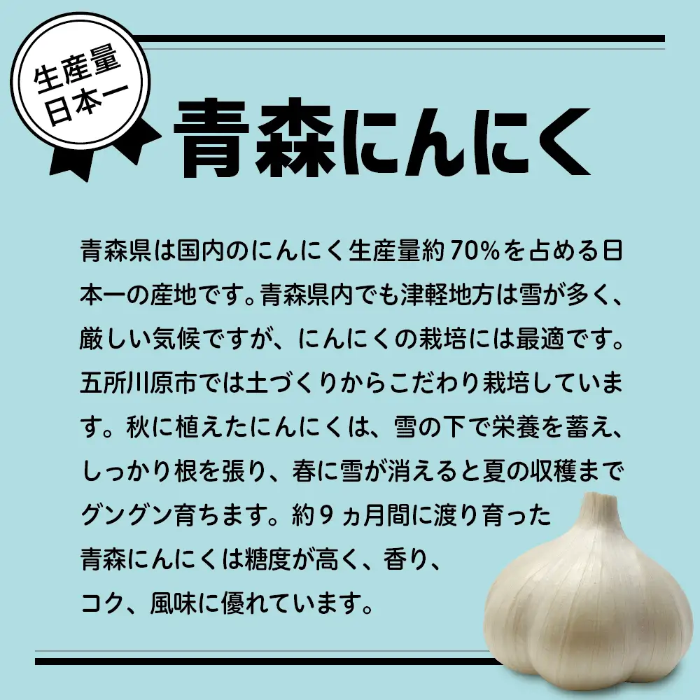 青森県産にんにく 上級品・Lサイズ 400g ホワイト六片 にんにく