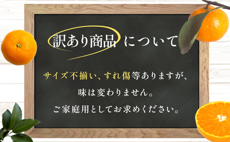 ＜【訳あり】温州みかん（南柑20号）約5kg 数量限定 産地直送＞ ワケアリ 家庭用 みかん ミカン うんしゅうみかん ウンシュウ なんかん 蜜柑 柑橘 フルーツ 果物 果実 くだもの 特産品 旬 玉やま農園 愛媛県 西予市【常温】『2024年12月から順次出荷予定』MTN0007