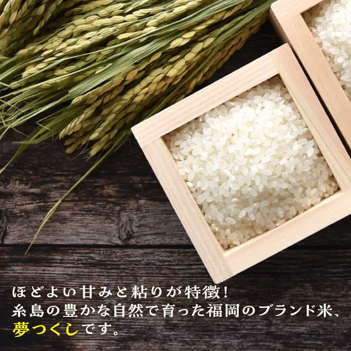 糸島産 夢つくし 20kg 糸島市 / 三島商店 [AIM074]