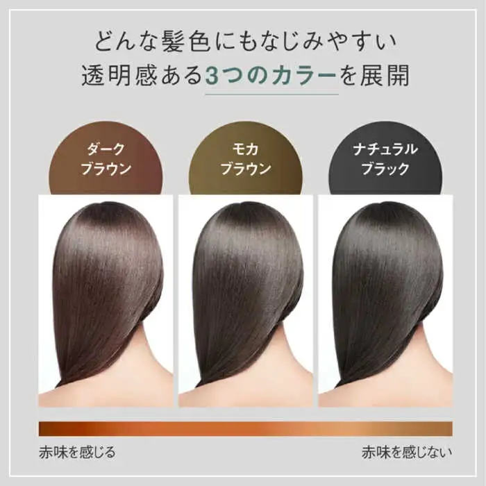 【10本入】リシリアフレル カラートリートメント 専用ボトル+詰め替え用パウチセット 糸島市 / 株式会社ピュール トリートメント 白髪染め [AZA175]