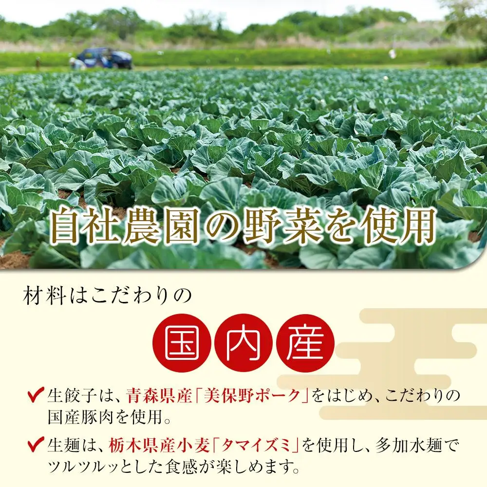 ぎょうざの満洲 冷凍生餃子とラーメン10人前セット