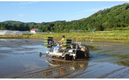 3-M コシヒカリ 白米 会津 5kg 4袋 計20kg 令和7年産米 藤川農産 ※2025年10月上旬頃より順次発送予定