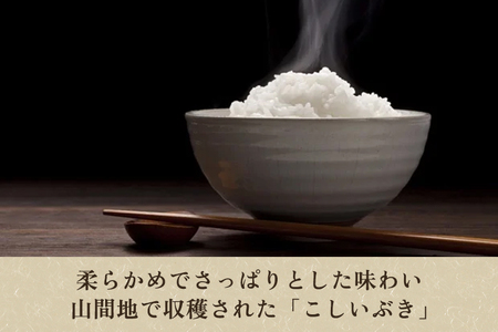 【令和6年産米】加茂市産こしいぶき（精米） 5kg（2.5kg×2）白米 米 加茂市 捧運次商店