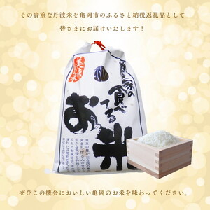米 令和7年産キヌヒカリ 定期便 5kg×6回 計30kg