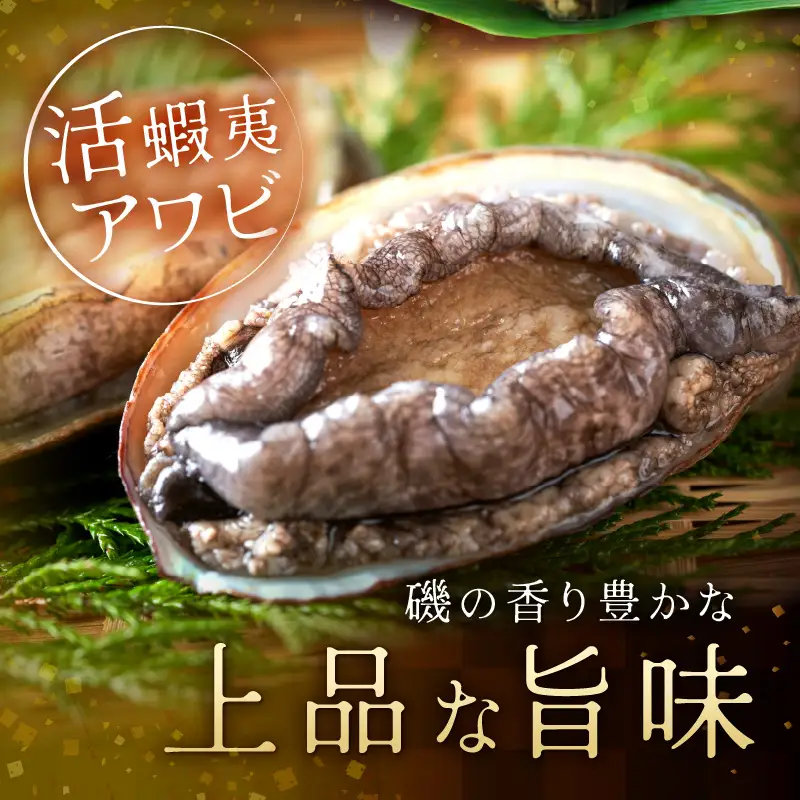 あわび酒蒸し 2枚 やわらかアワビ｜鮑