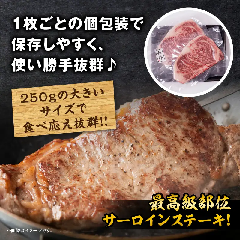 宮崎県産 黒毛和牛 サーロインステーキ 計500g(250g×2枚) 肉 牛肉 ビーフ 国産 ステーキ肉 おかず 食品 BBQ バーベキュー 焼肉 鉄板焼き おすすめ 人気 個包装 小分け 真空パック お祝い 記念日 ご褒美 贈り物 ギフト 贈答 プレゼント 宮崎県 日南市 送料無料_DC19-24