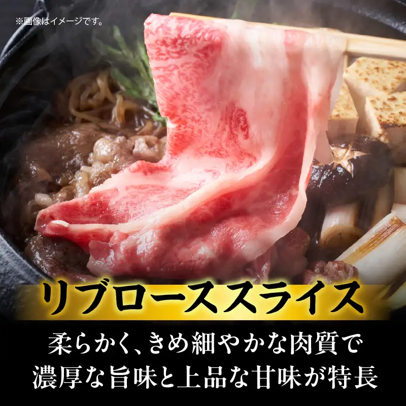 宮崎県産 黒毛和牛 リブロース スライス 計500g 肉 牛肉 ビーフ 国産 薄切り すき焼き すきやき しゃぶしゃぶ 牛丼 肉巻きおにぎり 冷しゃぶ 炒め物 焼肉 おかず 食品 お祝い 記念日 ご褒美 お土産 ギフト 贈り物 贈答 プレゼント 宮崎県 日南市 送料無料_CD54-24