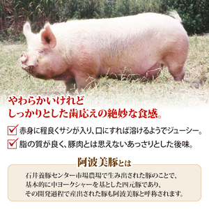 ソーセージ あらびきソーセージ 1.2kg