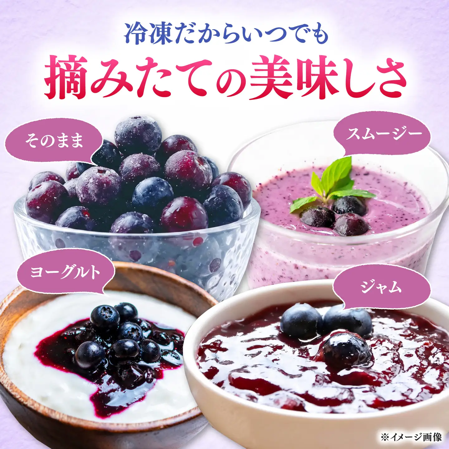 【先行予約】大容量 対馬産 ブルーベリー 1.2kg（ 冷凍 ） [WBG001] 果物 フルーツ ベリー 冷凍 ブルーベリー旬 ブルーベリー