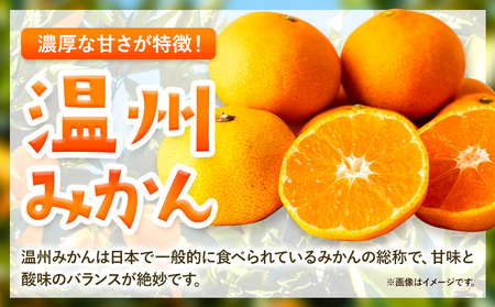 温州みかん ご家庭用 5kg S-Mサイズ GOGO農園