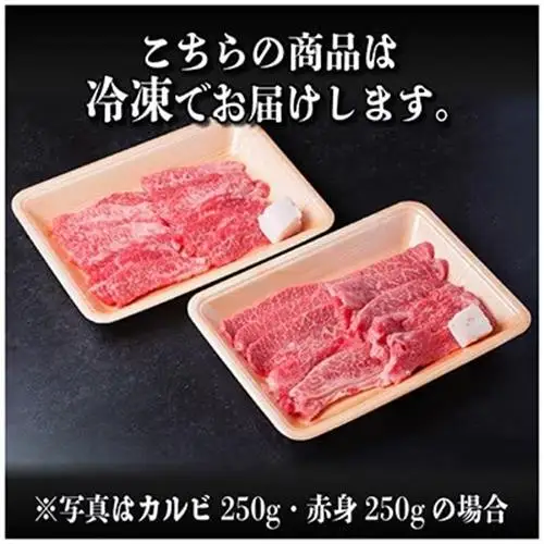 飛騨牛 厳選カルビ・赤身(焼肉・BBQ用) 1kg(各500g)　黒毛和牛　小分け　A4～A5等級_肉 焼肉 牛肉 やきにく ヤキニク バーベキュー  肉 飛騨牛 牛肉 うし ビーフ_【配送不可地域：離島】【1543764】