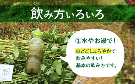 【島のめぐみ 対州そば】 青汁 30日 トライアル 美容 健康  [WAM006]