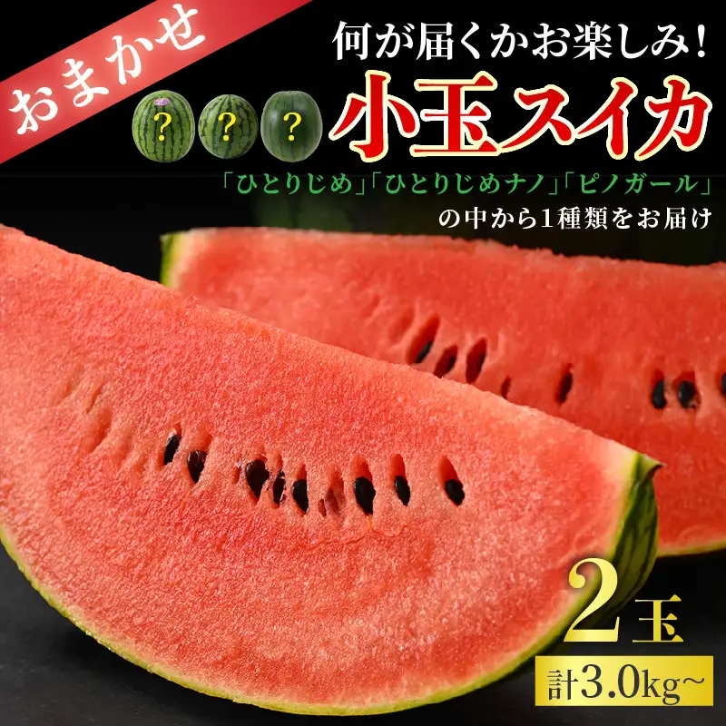 【先行予約】《定期便全2回》スイカとメロン大好きな人集まれ！第2弾！（小玉スイカ・マルセイユメロン・赤肉レノンメロン）計4玉 農家直送 秀品 お届け！/ 佐藤農園 フルーツ くだもの 果物 贈答 特産 旬 夏  完熟 すいか メロン 朝どれ 美味しい お取り寄せ 野菜 ※2027年5月下旬～7月末の間に順次発送 [aw069-b003]