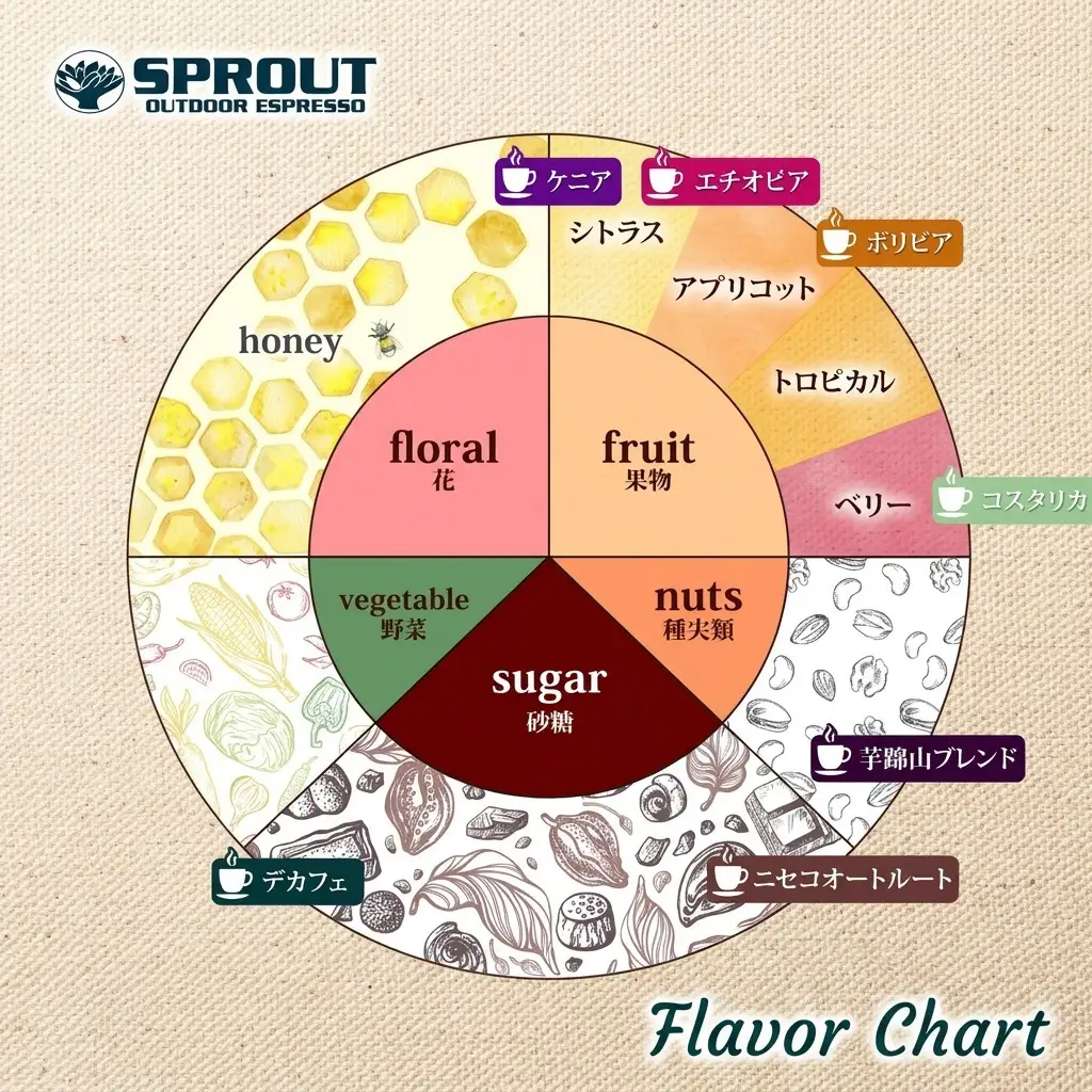 コーヒーバッグ 自家焙煎 ドリップコーヒー 飲み比べ2種 コーヒーバッグ【計8個】