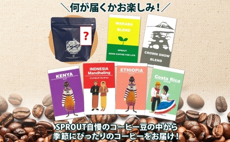 コーヒー豆セット 自家焙煎 3種 コーヒーバッグ2種 コーヒー豆セット【豆3種 バッグ2種 90杯】