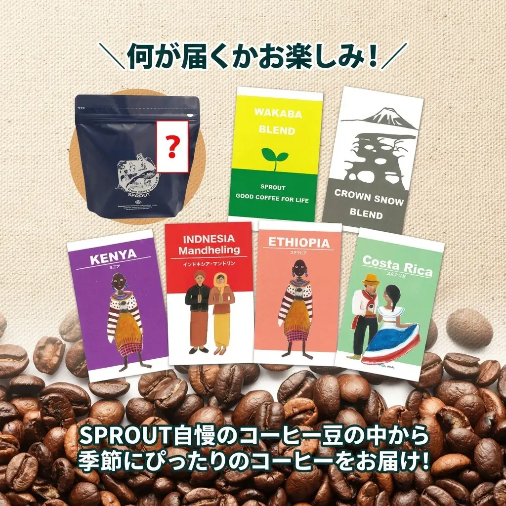 コーヒー豆セット 自家焙煎 8種 飲み比べ オートルート コーヒー豆セット【8種 計2.8kg 約280杯分】