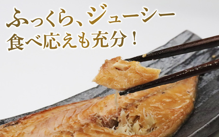 【TVで紹介されました】鯖の醤油干し / 旅サラダ 鯖 さば 干物 醤油干し 醤油 ふっくら フライ 天ぷら ジューシー 小浜市 / 真魚源【配送不可地域：北海道・沖縄・離島】 [BFCJ008] 