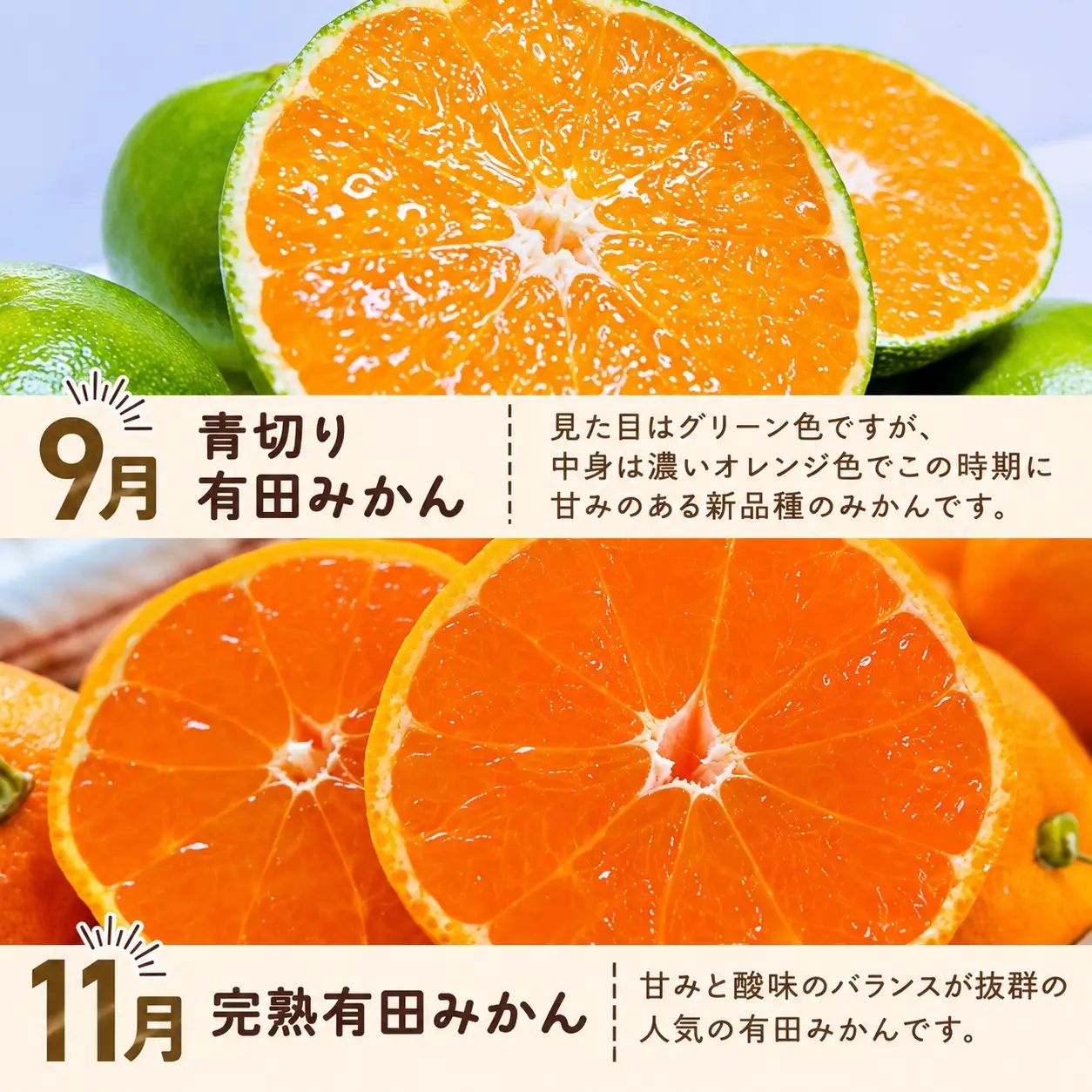 和歌山旬のカンキツ定期便【S】全4回（配送日時指定不可）※北海道・沖縄・離島への配送不可 / 定期便 フルーツ みかん 清見オレンジ 青切り 青切りみかん カラマンダリン 4回 【ard-tkb902A】