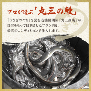 うなぎ 蒲焼 国産 手焼き 2尾 うなぎ