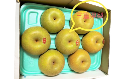 梨 幸水 ひさい梨 3kg 産地直送 旬 梨