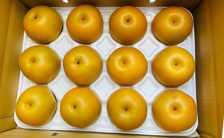 梨 豊水 ひさい梨 5kg 産地直送 旬 梨