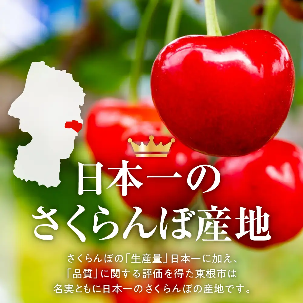 2027年産 GI 東根 さくらんぼ 紅秀峰 800g JA さくらんぼ