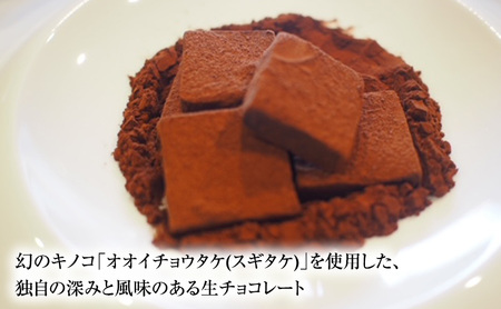 シャンピニオン生ショコラ 2箱セット [ 生チョコレート チョコレート チョコ キノコ 天然オオイチョウタケ スイーツ お菓子 お酒のおとも ご褒美 ] 