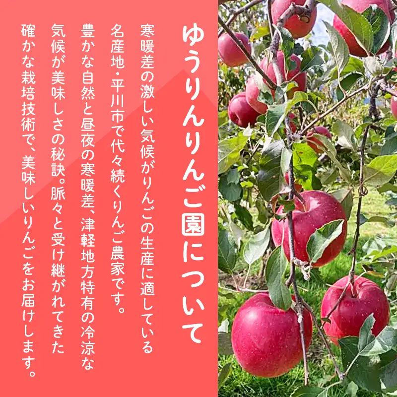 りんご 贈答用 王林・葉とらずサンふじ 約3kg【hi-0033-003】