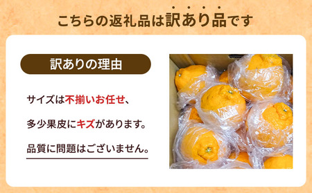 先行予約】 訳あり 不知火 でこ姫 約5kg（約18～25玉）【吉田レモニー