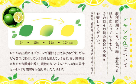 先行予約  レモン 食べるレモン スイートレモネード 約3kg（20～30玉）2026年12月上旬から2027年6月中順発送予定