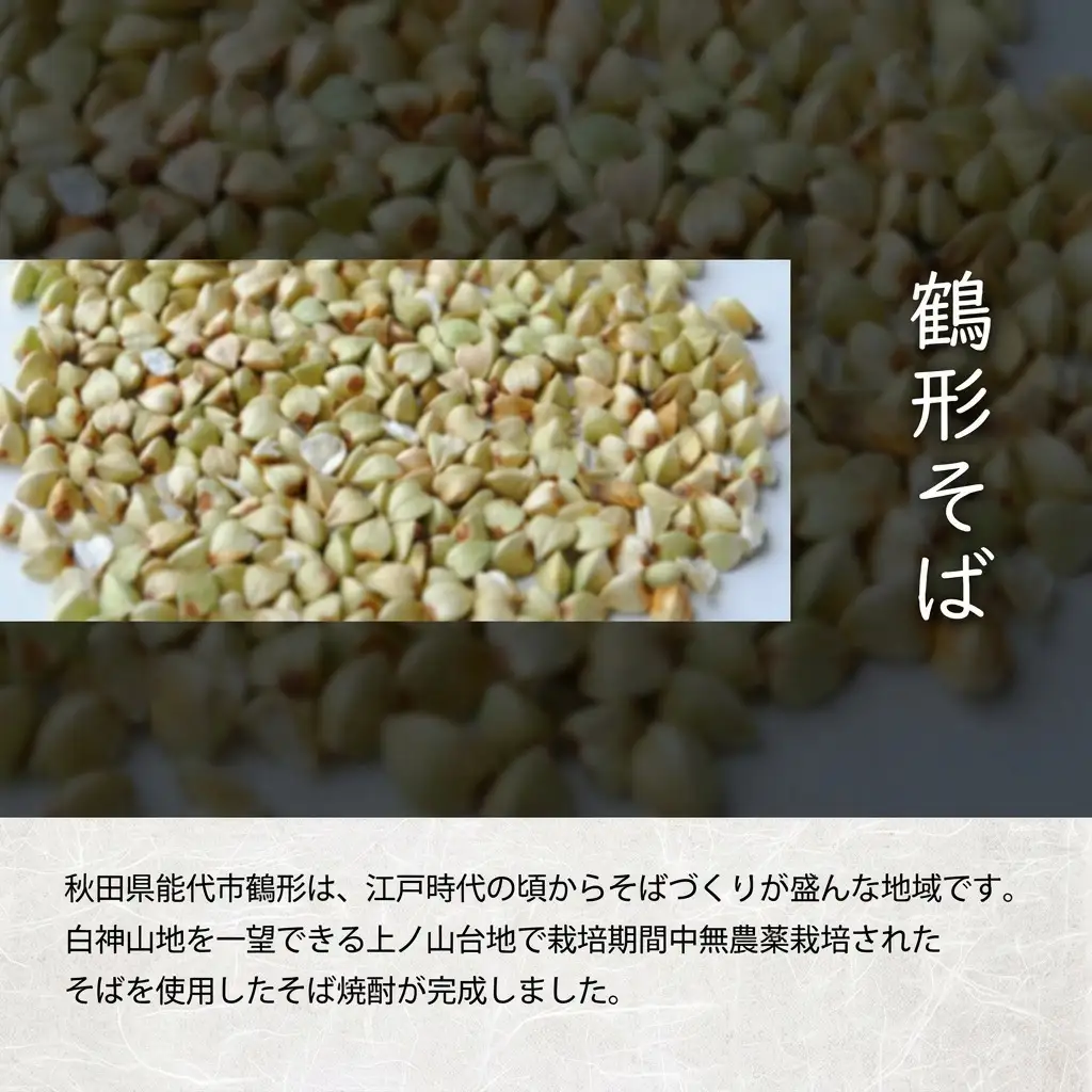 そば焼酎 鶴形こまち 720ml×2本 能代市鶴形産 そば 米 100%使用 お酒 蕎麦 