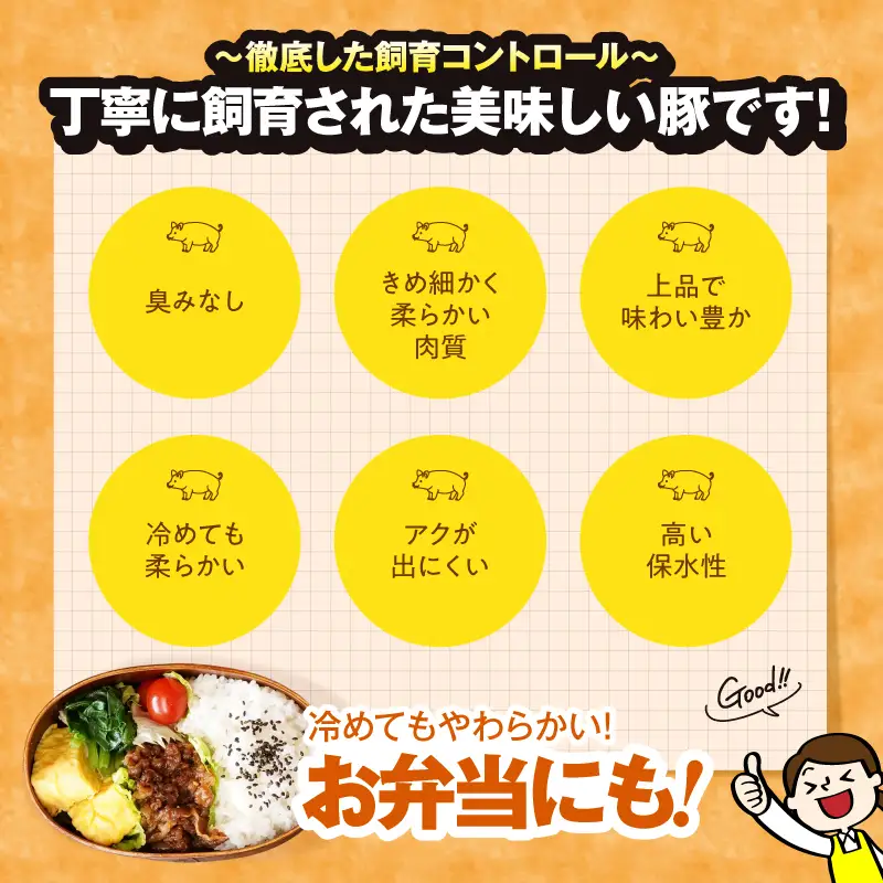 2641 豚肉ロースカツ用 30枚セット KN105-012 肉 豚肉 冷凍