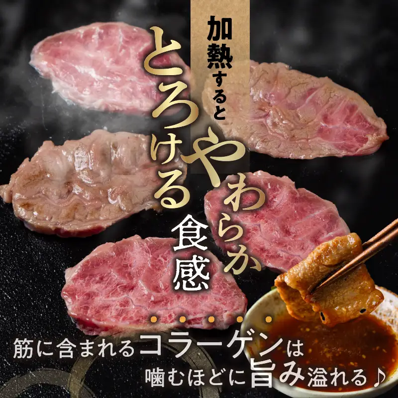 【超希少】宮崎県産黒毛和牛千本筋ブロック(計300g以上) 肉 牛 牛肉 国産_T023-0155