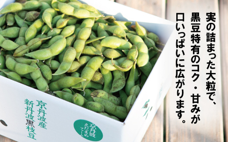 新丹波黒 枝豆 千年枝豆 1.5g さや 京都 丹波 京丹波町産 期間限定 生産者限定 国産 こだわり 厳選 黒豆 枝豆 おつまみ きな粉 黒豆きなこ付き [011HY001L]